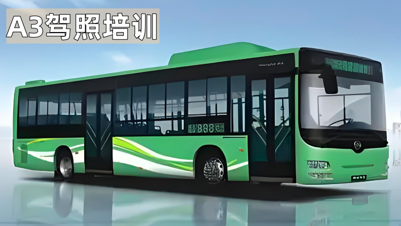A3驾照