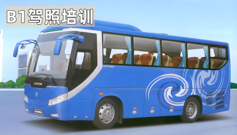 在广东学B1驾照要多少钱？